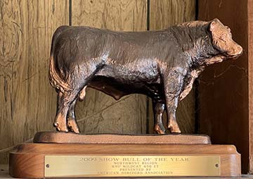 2009 NW region Polled show Bull of the year